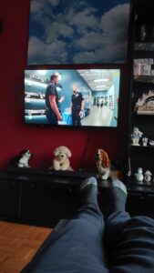 faul auf dem Sofa liegen und TV schauen